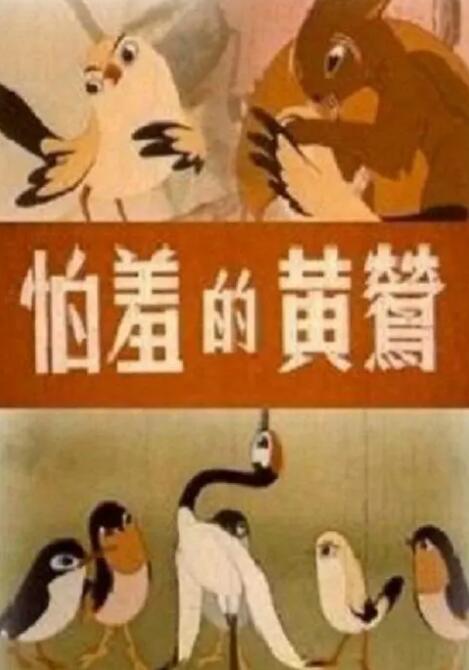 91视频国内