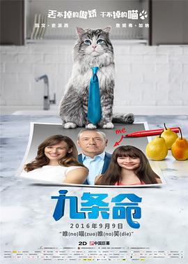 探险女人的故事