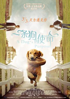 触摸触摸