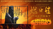 国产欧美综合在线观看第七页