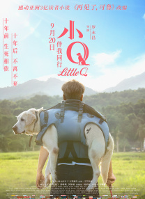 91大神精品长腿在线观看网站