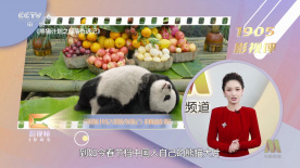 伊人网在线免费视频